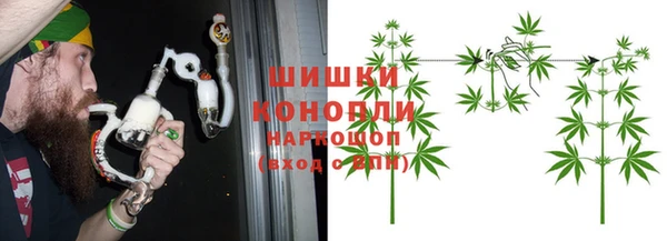 ГАЛЛЮЦИНОГЕННЫЕ ГРИБЫ Арсеньев