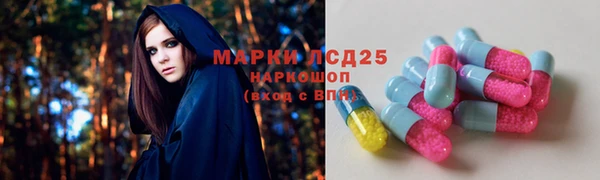 спиды Армянск