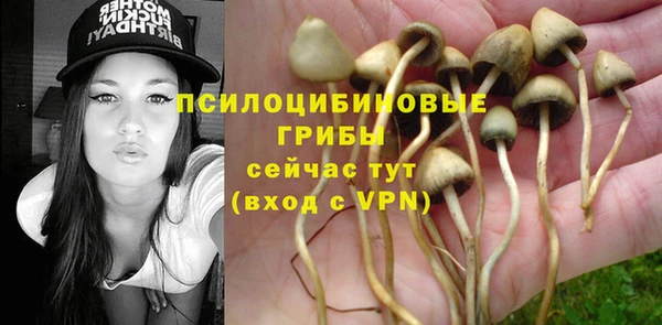 ГАЛЛЮЦИНОГЕННЫЕ ГРИБЫ Арсеньев