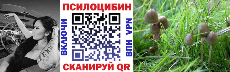 Галлюциногенные грибы мухоморы  продажа наркотиков  Мосальск 